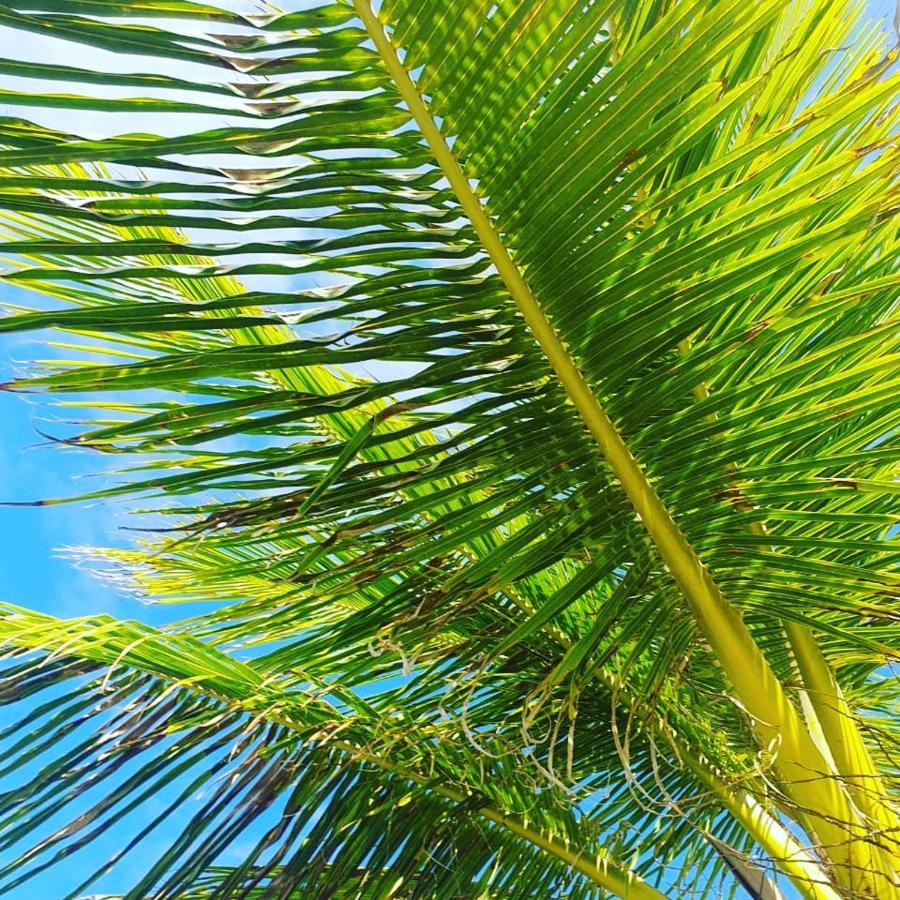 Praia De Itacimirim, Pé Na Areia Exterior foto