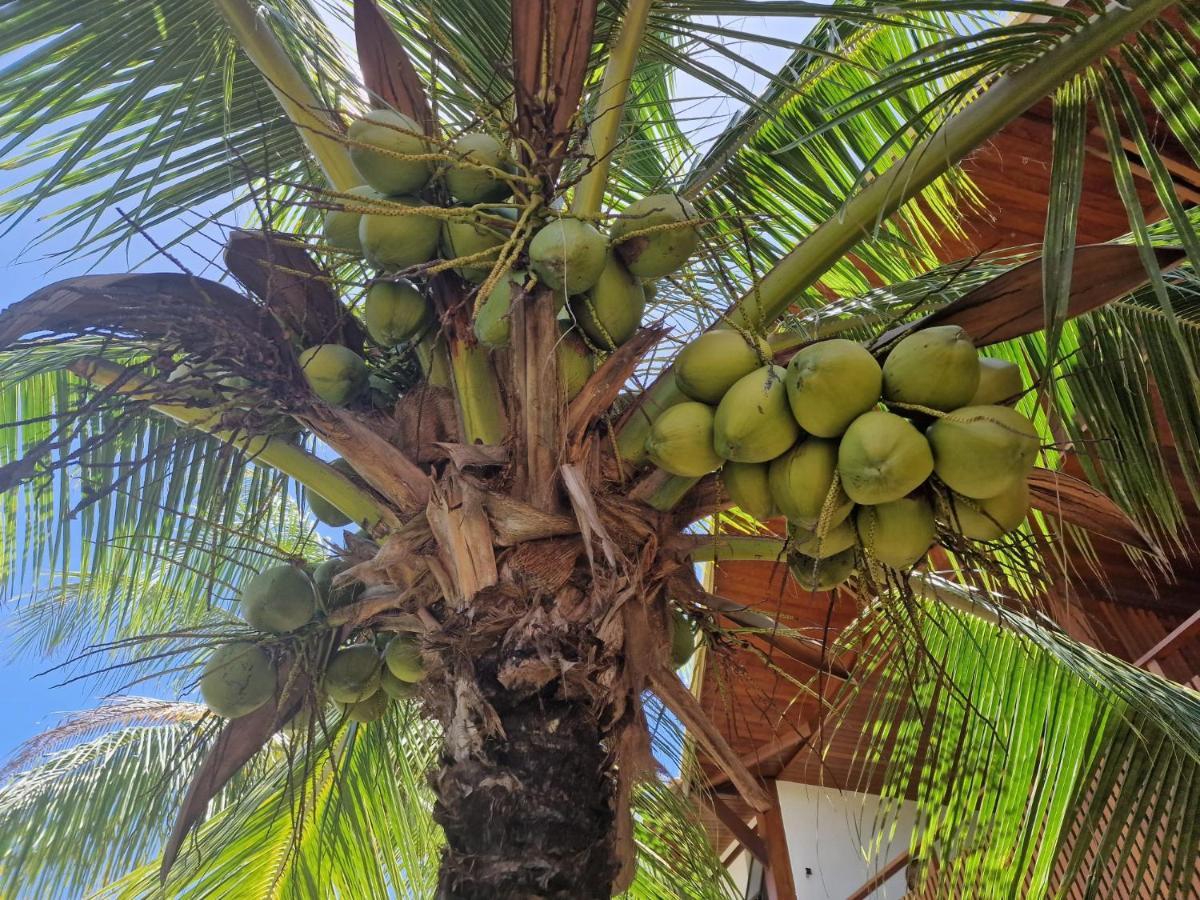 Praia De Itacimirim, Pé Na Areia Exterior foto